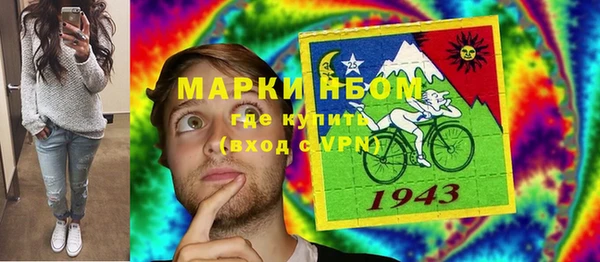 PSILOCYBIN Белокуриха